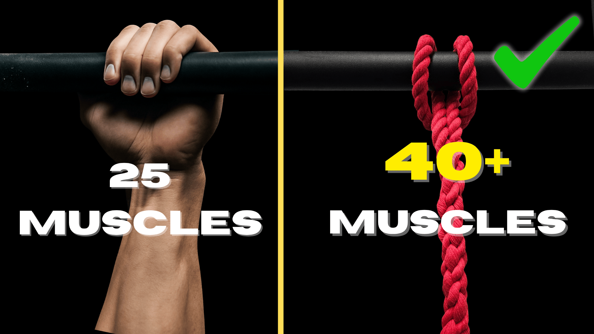Pull-Up Muscle Activation: Standard vs Rope-Based Grip Training