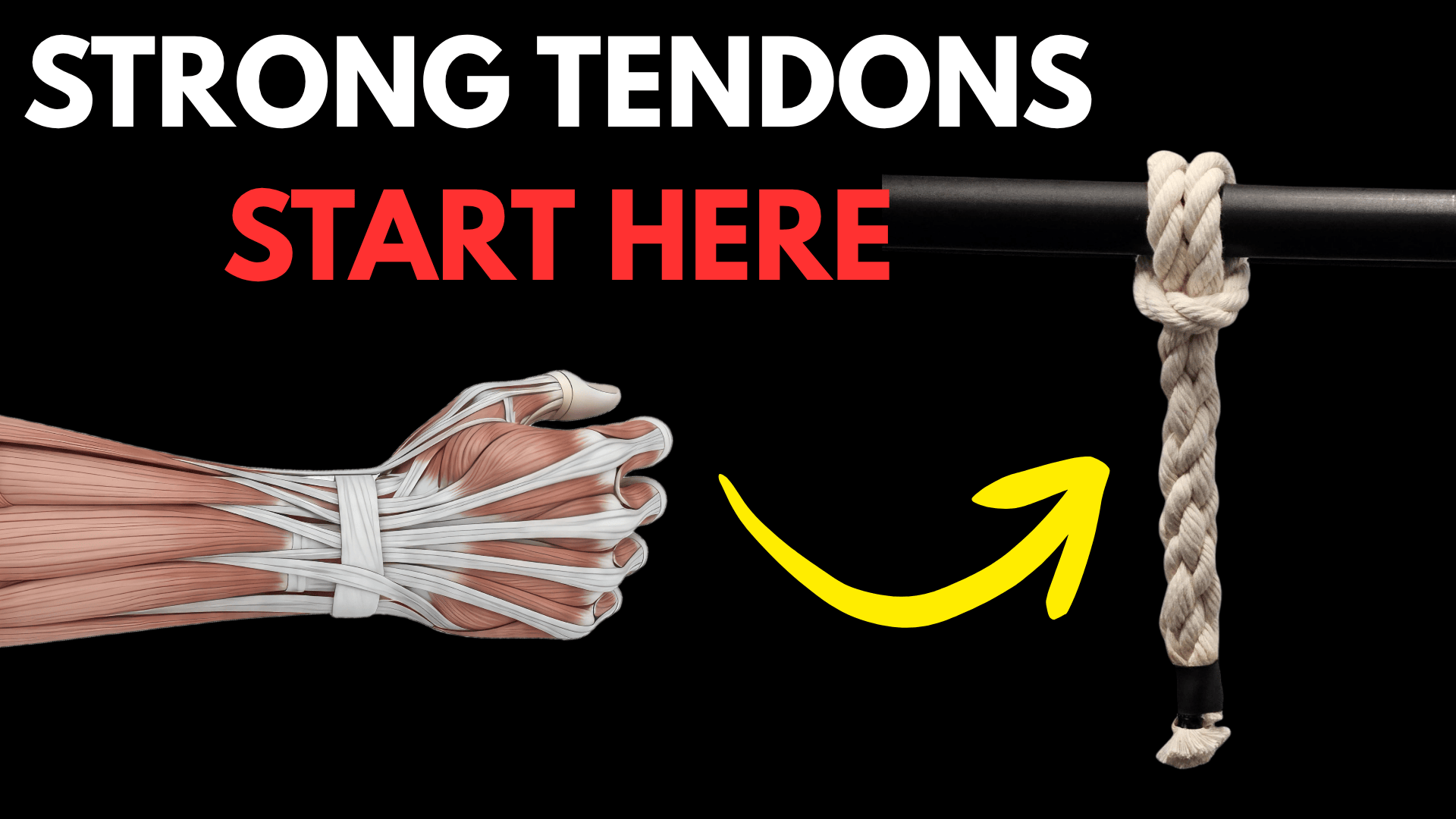 Grip Like an Athlete: The Science Behind Why Monkee Grip Dead Hangs Build Superior Tendon Strength