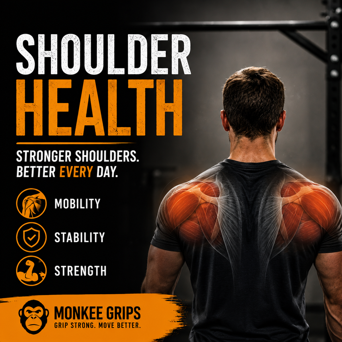 How to Improve Shoulder Blade Control for Stronger Pull-Ups, Rows, and Hangs
